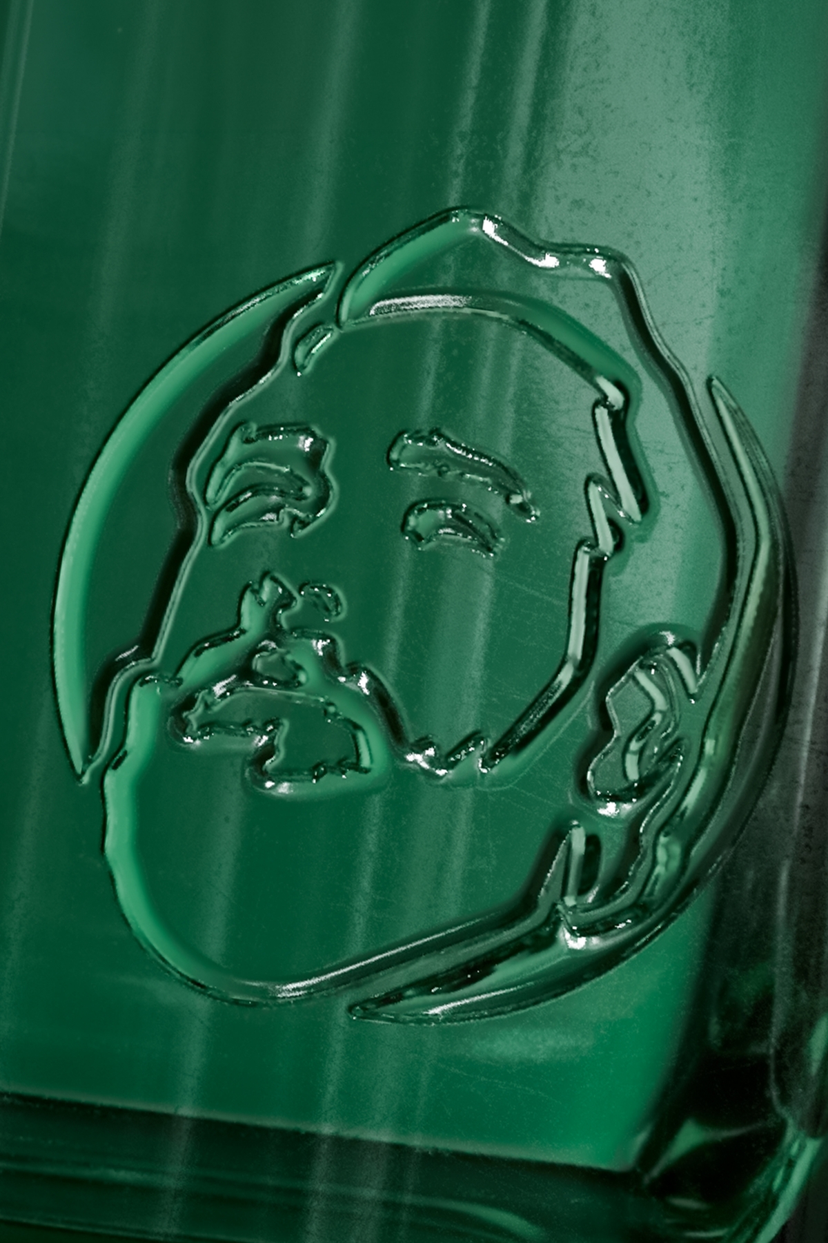 A bottle of Smiling Wolf non-alcoholic Functional Rum resting on driftwood with oyster mushrooms against a dark background.